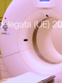 Direttiva delegata UE 2022 1632