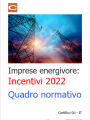 Imprese energivore   Incentivi 2022   Quadro normativo