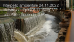 Interpello ambientale 24 11 2022   Attivit  categoria 6 11 Alleg  VIII alla Parte Seconda TUA
