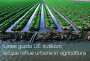 Linee guida UE riutilizzo acque reflue urbane in agricoltura