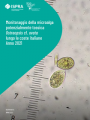 Monitoraggio della microalga potenzialmente tossica Ostreopsis   Anno 2021