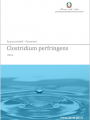 Parametri indicatori qualit  nelle acque   Clostridium perfringens