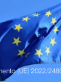 Regolamento UE 2022 2480