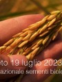 Decreto 19 luglio 2023   Piano nazionale delle sementi biologiche