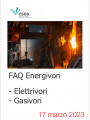 FAQ Energivori  Elettrivori Gasivori  17 marzo 2023
