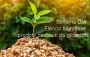 Schema DM Elenco biomasse a uso combustibile gliceridi di origine vegetale